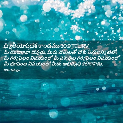 Picture 02 - ద్వితీయోపదేశ కాండము 30:9 TELIRV - మీ యెహోవా దేవుడు, - Bible Verse Picture