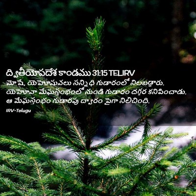 Picture 02 - ద్వితీయోపదేశ కాండము 31:15 TELIRV - మోషే, యెహోషువలు - Bible Verse Picture
