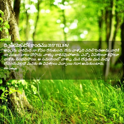 Picture 02 - ద్వితీయోపదేశ కాండము 31:17 TELIRV - అప్పుడు వారిమీద - Bible Verse Picture