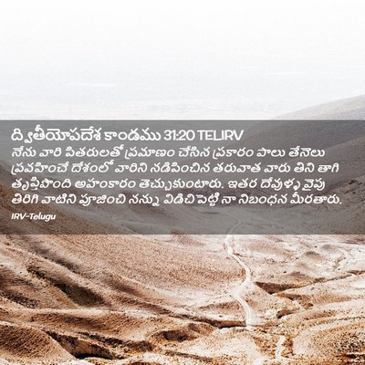 Picture 02 - ద్వితీయోపదేశ కాండము 31:20 TELIRV - నేను వారి - Bible Verse Picture