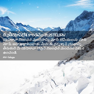 Picture 02 - ద్వితీయోపదేశ కాండము 31:25 TELIRV - యెహోవా నిబంధన - Bible Verse Picture