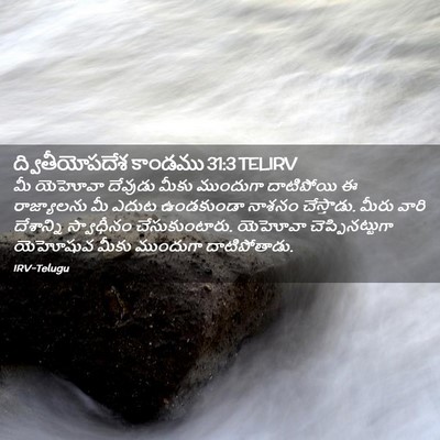 Picture 02 - ద్వితీయోపదేశ కాండము 31:3 TELIRV - మీ యెహోవా దేవుడు - Bible Verse Picture