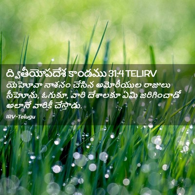 Picture 02 - ద్వితీయోపదేశ కాండము 31:4 TELIRV - యెహోవా నాశనం - Bible Verse Picture