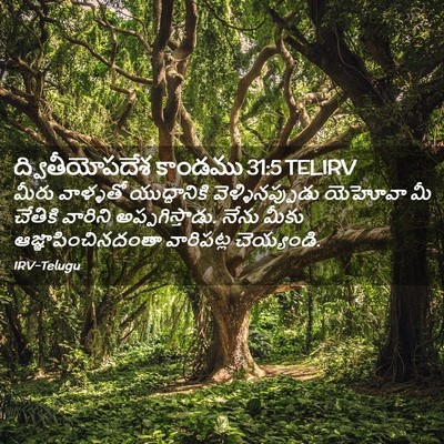 Picture 02 - ద్వితీయోపదేశ కాండము 31:5 TELIRV - మీరు వాళ్ళతో - Bible Verse Picture