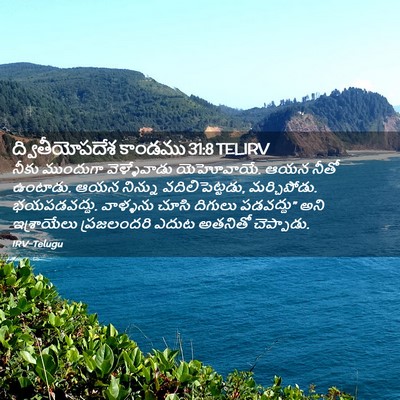 Picture 02 - ద్వితీయోపదేశ కాండము 31:8 TELIRV - నీకు ముందుగా - Bible Verse Picture