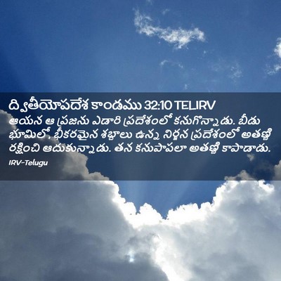 Picture 02 - ద్వితీయోపదేశ కాండము 32:10 TELIRV - ఆయన ఆ ప్రజను ఎడారి - Bible Verse Picture