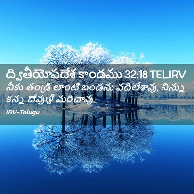 Picture 02 - ద్వితీయోపదేశ కాండము 32:18 TELIRV - నీకు తండ్రి లాంటి - Bible Verse Picture