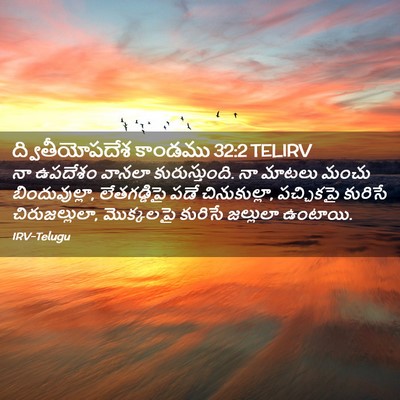 Picture 02 - ద్వితీయోపదేశ కాండము 32:2 TELIRV - నా ఉపదేశం వానలా - Bible Verse Picture