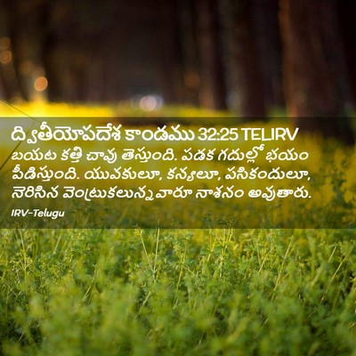 Picture 02 - ద్వితీయోపదేశ కాండము 32:25 TELIRV - బయట కత్తి చావు - Bible Verse Picture