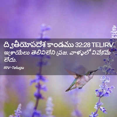 Picture 02 - ద్వితీయోపదేశ కాండము 32:28 TELIRV - ఇశ్రాయేలు - Bible Verse Picture