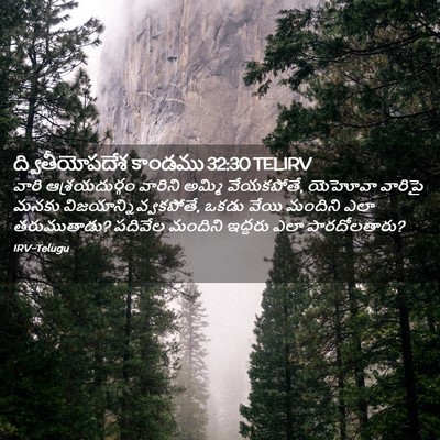 Picture 02 - ద్వితీయోపదేశ కాండము 32:30 TELIRV - వారి ఆశ్రయదుర్గం - Bible Verse Picture