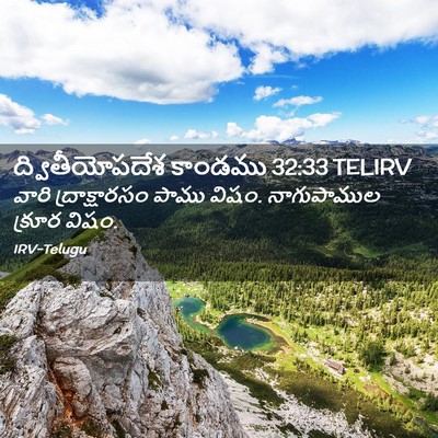 Picture 02 - ద్వితీయోపదేశ కాండము 32:33 TELIRV - వారి ద్రాక్షారసం - Bible Verse Picture