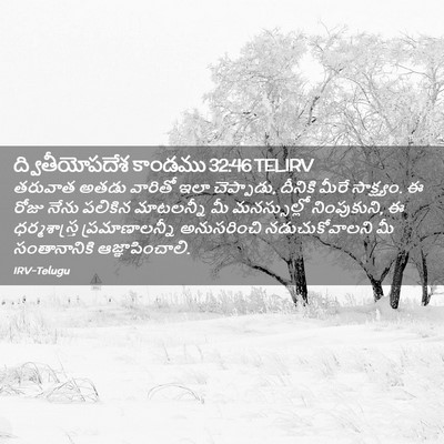 Picture 02 - ద్వితీయోపదేశ కాండము 32:46 TELIRV - తరువాత అతడు - Bible Verse Picture