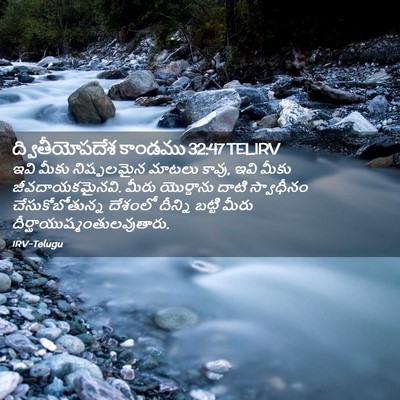 Picture 02 - ద్వితీయోపదేశ కాండము 32:47 TELIRV - ఇవి మీకు - Bible Verse Picture