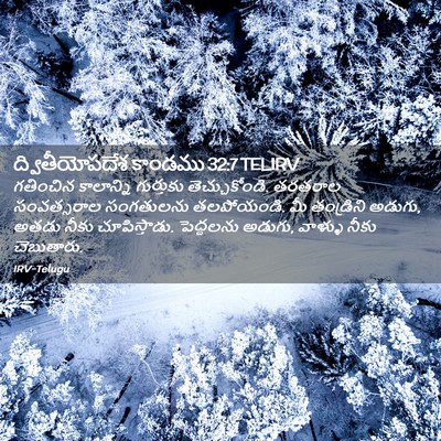 Picture 02 - ద్వితీయోపదేశ కాండము 32:7 TELIRV - గతించిన కాలాన్ని - Bible Verse Picture