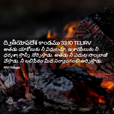 Picture 02 - ద్వితీయోపదేశ కాండము 33:10 TELIRV - అతడు యాకోబుకు నీ - Bible Verse Picture