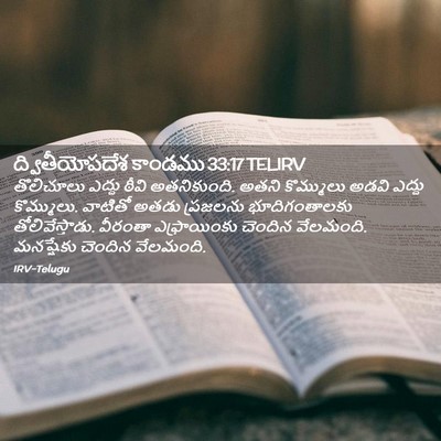 Picture 02 - ద్వితీయోపదేశ కాండము 33:17 TELIRV - తొలిచూలు ఎద్దు - Bible Verse Picture