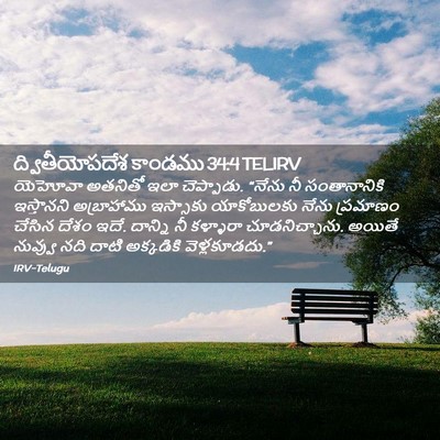 Picture 02 - ద్వితీయోపదేశ కాండము 34:4 TELIRV - యెహోవా అతనితో ఇలా - Bible Verse Picture