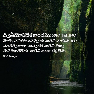 Picture 02 - ద్వితీయోపదేశ కాండము 34:7 TELIRV - మోషే - Bible Verse Picture