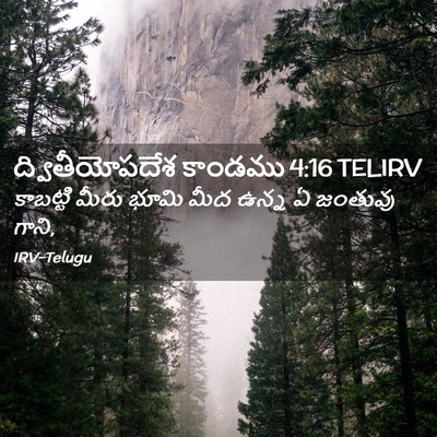 Picture 02 - ద్వితీయోపదేశ కాండము 4:16 TELIRV - కాబట్టి మీరు భూమి - Bible Verse Picture