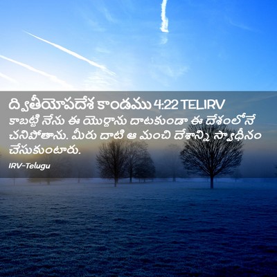 Picture 02 - ద్వితీయోపదేశ కాండము 4:22 TELIRV - కాబట్టి నేను ఈ - Bible Verse Picture
