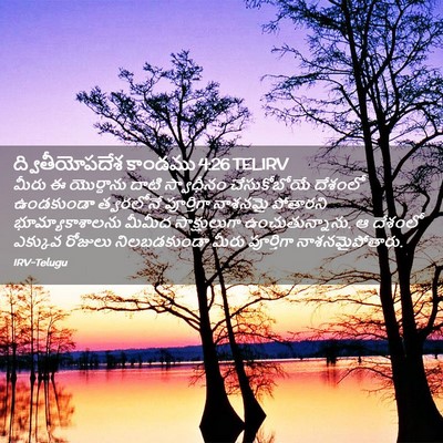 Picture 02 - ద్వితీయోపదేశ కాండము 4:26 TELIRV - మీరు ఈ యొర్దాను - Bible Verse Picture