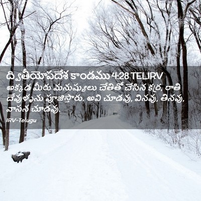 Picture 02 - ద్వితీయోపదేశ కాండము 4:28 TELIRV - అక్కడ మీరు - Bible Verse Picture