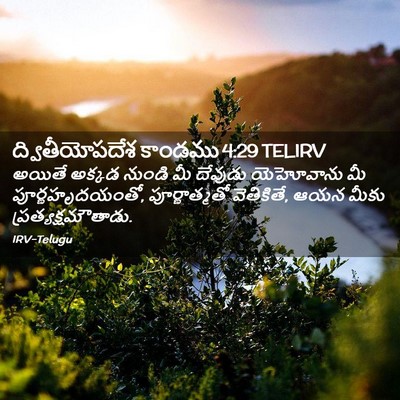 Picture 02 - ద్వితీయోపదేశ కాండము 4:29 TELIRV - అయితే అక్కడ నుండి - Bible Verse Picture
