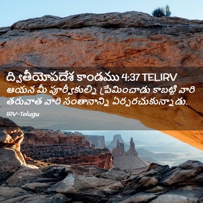 Picture 02 - ద్వితీయోపదేశ కాండము 4:37 TELIRV - ఆయన మీ - Bible Verse Picture