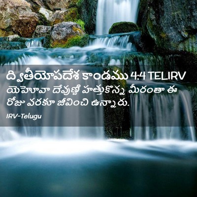 Picture 02 - ద్వితీయోపదేశ కాండము 4:4 TELIRV - యెహోవా దేవుణ్ణి - Bible Verse Picture