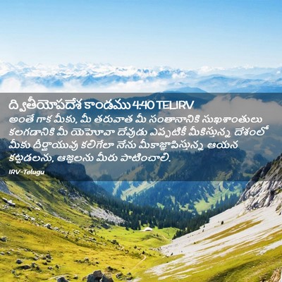 Picture 02 - ద్వితీయోపదేశ కాండము 4:40 TELIRV - అంతే గాక మీకు, మీ - Bible Verse Picture