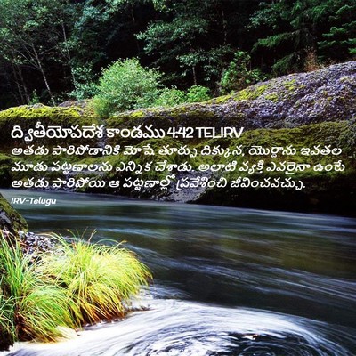 Picture 02 - ద్వితీయోపదేశ కాండము 4:42 TELIRV - అతడు పారిపోడానికి - Bible Verse Picture