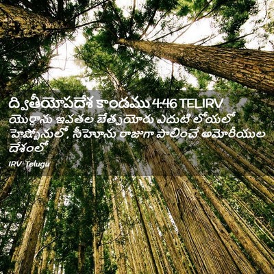 Picture 02 - ద్వితీయోపదేశ కాండము 4:46 TELIRV - యొర్దాను ఇవతల - Bible Verse Picture