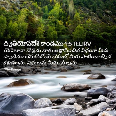 Picture 02 - ద్వితీయోపదేశ కాండము 4:5 TELIRV - యెహోవా దేవుడు - Bible Verse Picture