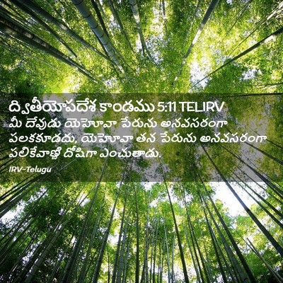 Picture 02 - ద్వితీయోపదేశ కాండము 5:11 TELIRV - మీ దేవుడు యెహోవా - Bible Verse Picture