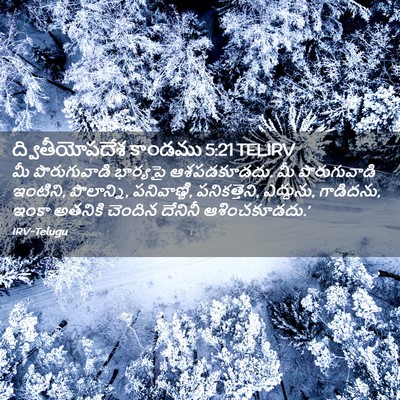 Picture 02 - ద్వితీయోపదేశ కాండము 5:21 TELIRV - మీ పొరుగువాడి - Bible Verse Picture