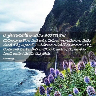 Picture 02 - ద్వితీయోపదేశ కాండము 5:22 TELIRV - యెహోవా ఆ కొండ మీద - Bible Verse Picture