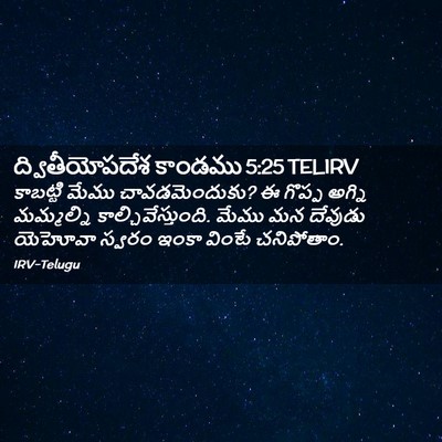 Picture 02 - ద్వితీయోపదేశ కాండము 5:25 TELIRV - కాబట్టి మేము - Bible Verse Picture