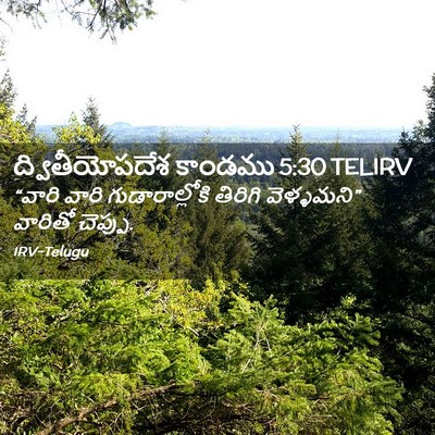 Picture 02 - ద్వితీయోపదేశ కాండము 5:30 TELIRV - “వారి వారి - Bible Verse Picture