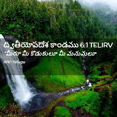 Picture 02 - ద్వితీయోపదేశ కాండము 6:1 TELIRV - “మీరూ మీ కొడుకులూ - Bible Verse Picture