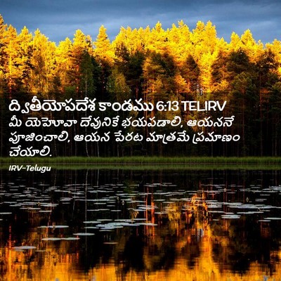 Picture 02 - ద్వితీయోపదేశ కాండము 6:13 TELIRV - మీ యెహోవా - Bible Verse Picture