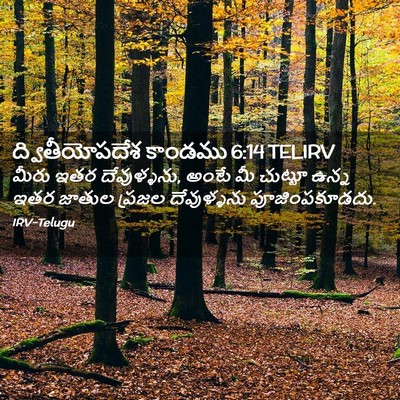 Picture 02 - ద్వితీయోపదేశ కాండము 6:14 TELIRV - మీరు ఇతర - Bible Verse Picture