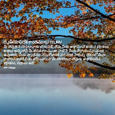 Picture 02 - ద్వితీయోపదేశ కాండము 6:2 TELIRV - మీ దేవుడైన - Bible Verse Picture