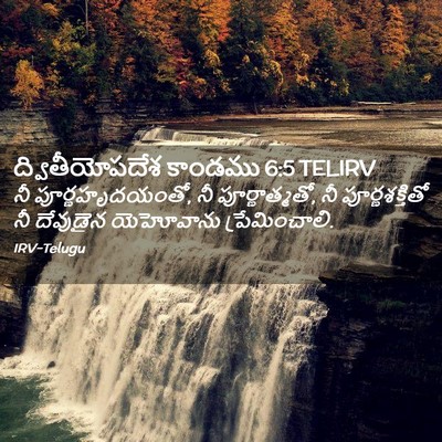 Picture 02 - ద్వితీయోపదేశ కాండము 6:5 TELIRV - నీ పూర్ణహృదయంతో, - Bible Verse Picture