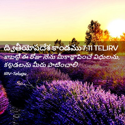 Picture 02 - ద్వితీయోపదేశ కాండము 7:11 TELIRV - కాబట్టి ఈ రోజు - Bible Verse Picture