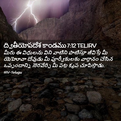 Picture 02 - ద్వితీయోపదేశ కాండము 7:12 TELIRV - మీరు ఈ విధులను - Bible Verse Picture