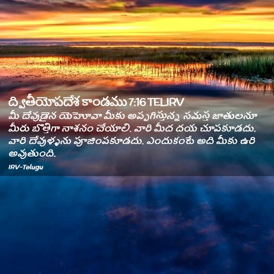 Picture 02 - ద్వితీయోపదేశ కాండము 7:16 TELIRV - మీ దేవుడైన యెహోవా - Bible Verse Picture
