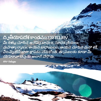 Picture 02 - ద్వితీయోపదేశ కాండము 7:19 TELIRV - మీ కళ్ళు చూసిన ఆ - Bible Verse Picture