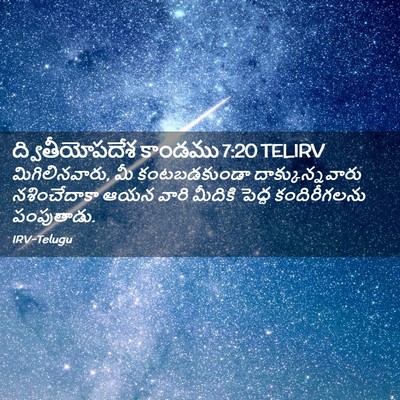 Picture 02 - ద్వితీయోపదేశ కాండము 7:20 TELIRV - మిగిలినవారు, మీ - Bible Verse Picture