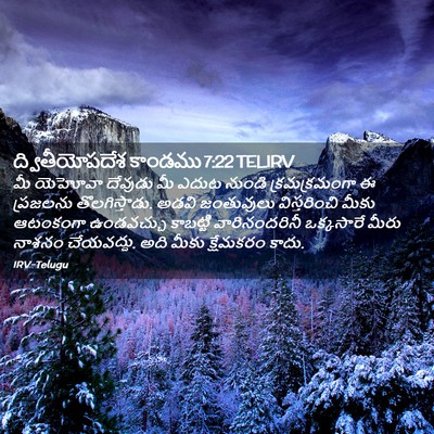Picture 02 - ద్వితీయోపదేశ కాండము 7:22 TELIRV - మీ యెహోవా దేవుడు - Bible Verse Picture